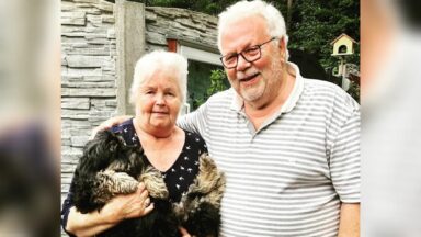 TierschutzTeamTitel scaled