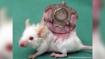 AerztegegenTierversucheTitel2