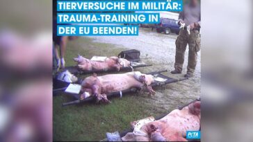 petatierversuchnatoTitel scaled