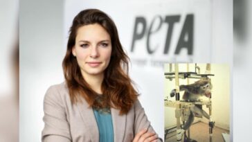 PETA Affen Titel