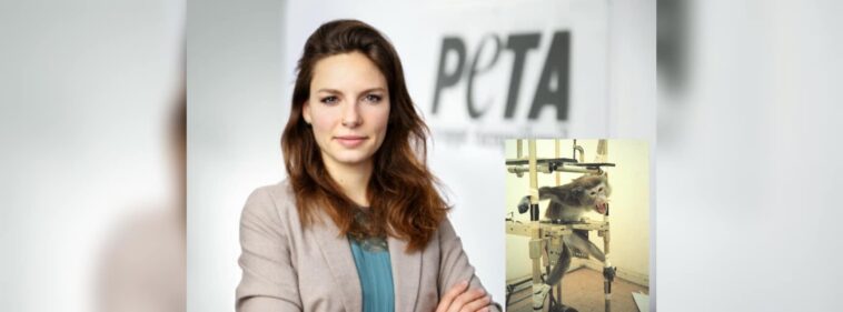 PETA Affen Titel