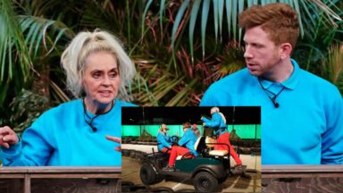 DS bealarstitel scaled