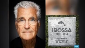 PetaSkySeaWorldTitel