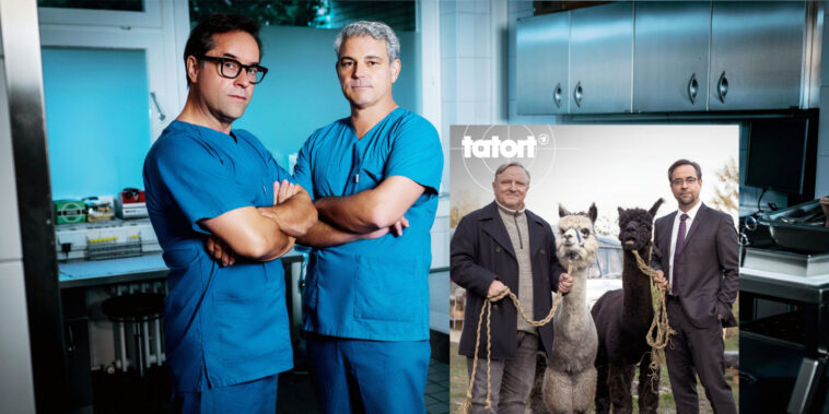 TatortTsokosLiefersTitel scaled