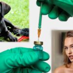 lauramuellerhundwerbungtitel scaled