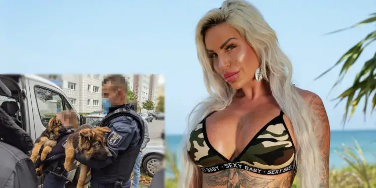 kdrginalisapetatitel scaled