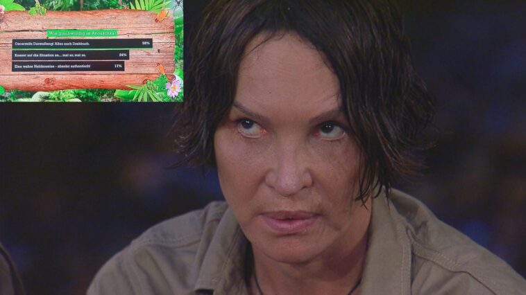 dschungelanouschkatitel scaled