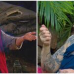 dschungelharaldtinatitel scaled