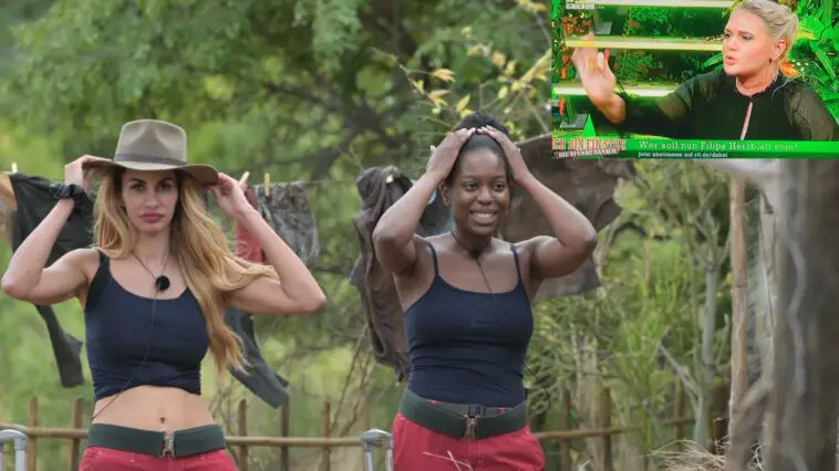 dschungeljaninalindasarahtitel scaled