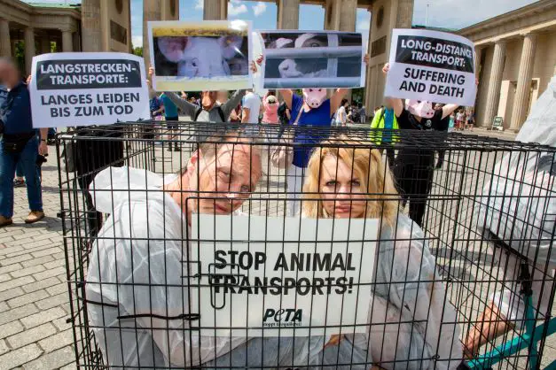 Peta Tiertransport demo