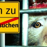 tierversuchetitel