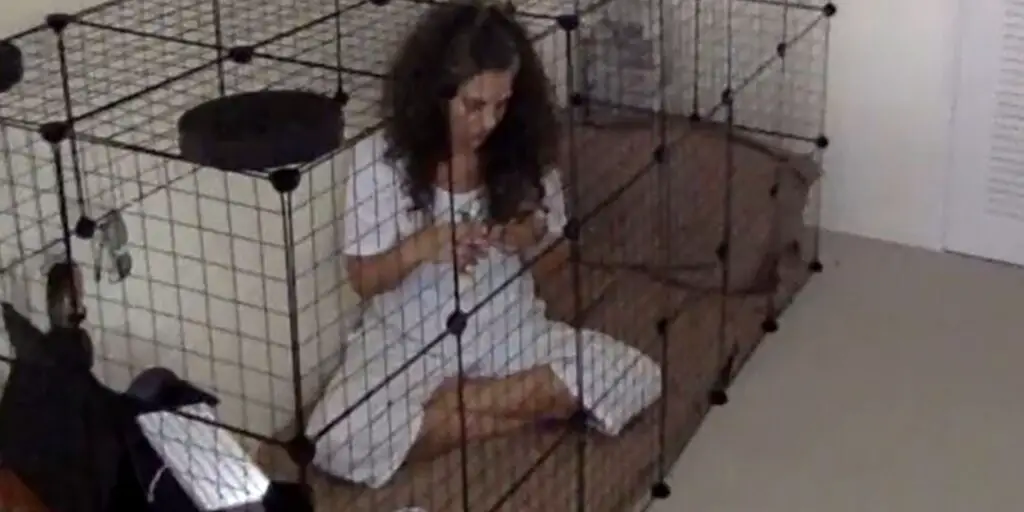 janytempelh1