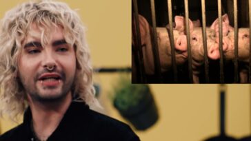 BillKaulitzPETATitel