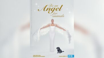 PETA Marie Amiere Weihnachtsmotiv A4 RGB
