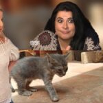 CatsKarmaVerenaIrisTitel