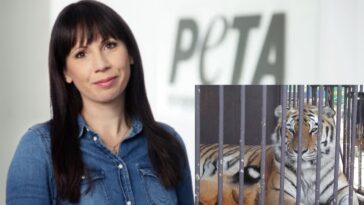 InCollage 20221229 154305922