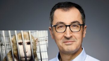 CemOezdemirTierversucheTitel