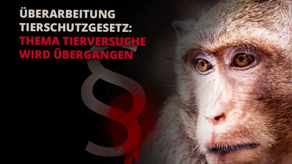 AerztegegenTierversucheEmailKampagneTitel