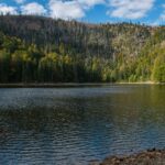 bund wildnis eiszeitsee bayerischer wald