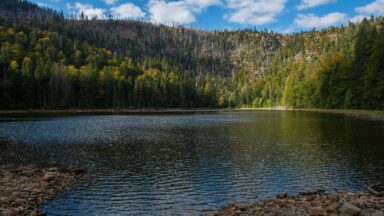 bund wildnis eiszeitsee bayerischer wald