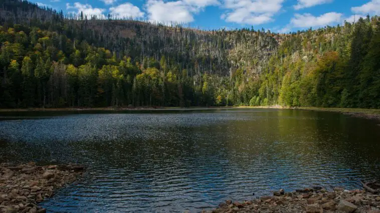 bund wildnis eiszeitsee bayerischer wald