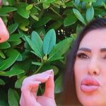 sommerhaus23ricardamauriceTitel