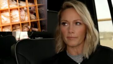 HeleneTierschutzTitel