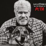 PetaPearlmanTitel
