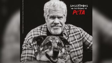 PetaPearlmanTitel