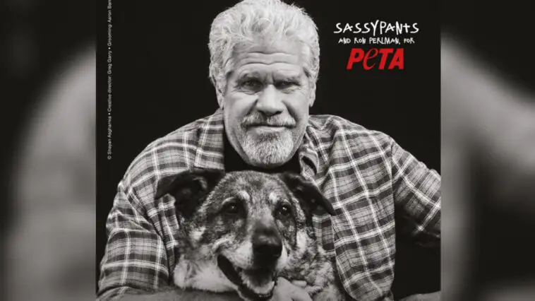 PetaPearlmanTitel