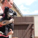 Tierschutzpreis Hundesenioren Hospiz 1