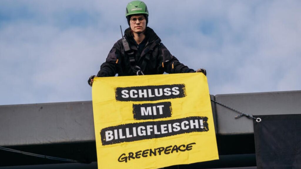 GreenpeaceBilligfleisch2