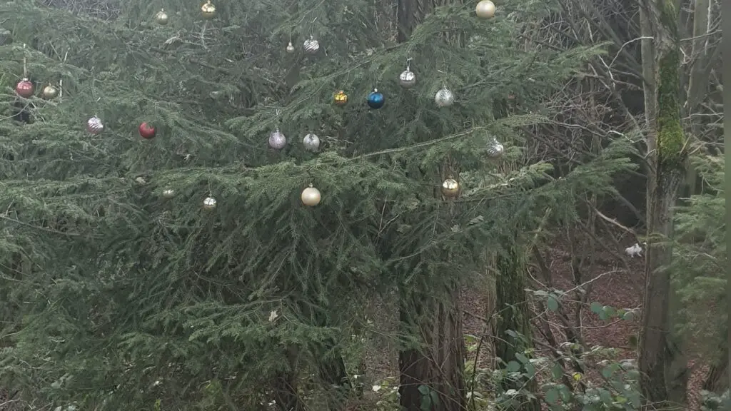 Weihnachtsbaum