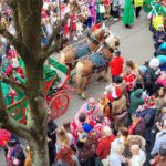 TierschutzbundPferdKarneval