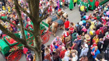 TierschutzbundPferdKarneval