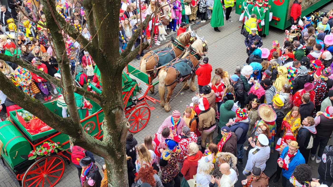 TierschutzbundPferdKarneval