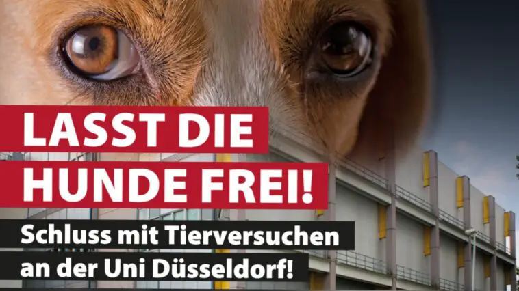 aerztegegenTierversucheHundefrei