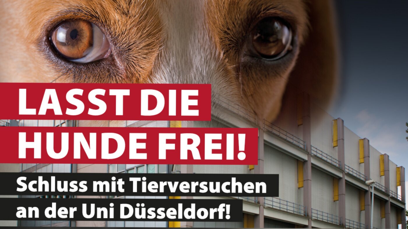aerztegegenTierversucheHundefrei