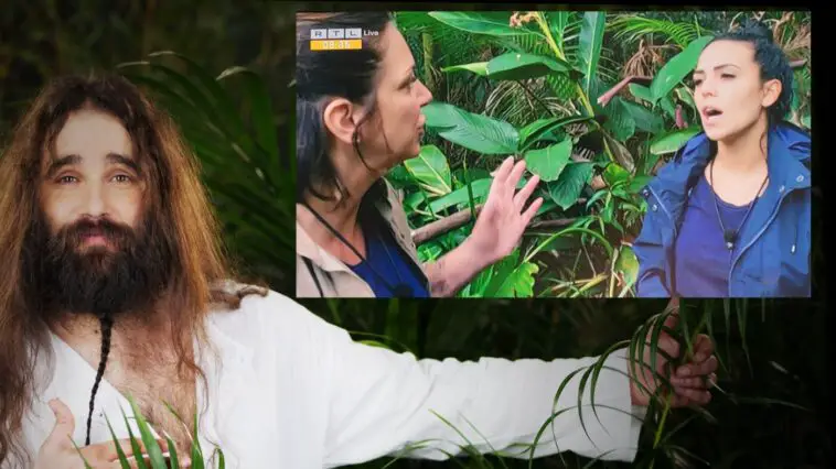 DschungelSommerDavidElenaDanni