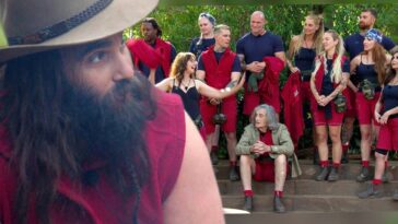 Dschungel24DavidAlle