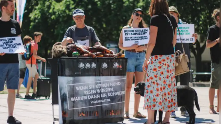 Peta Hundegrillen