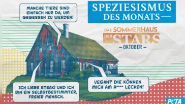PETA Sommerhaus2