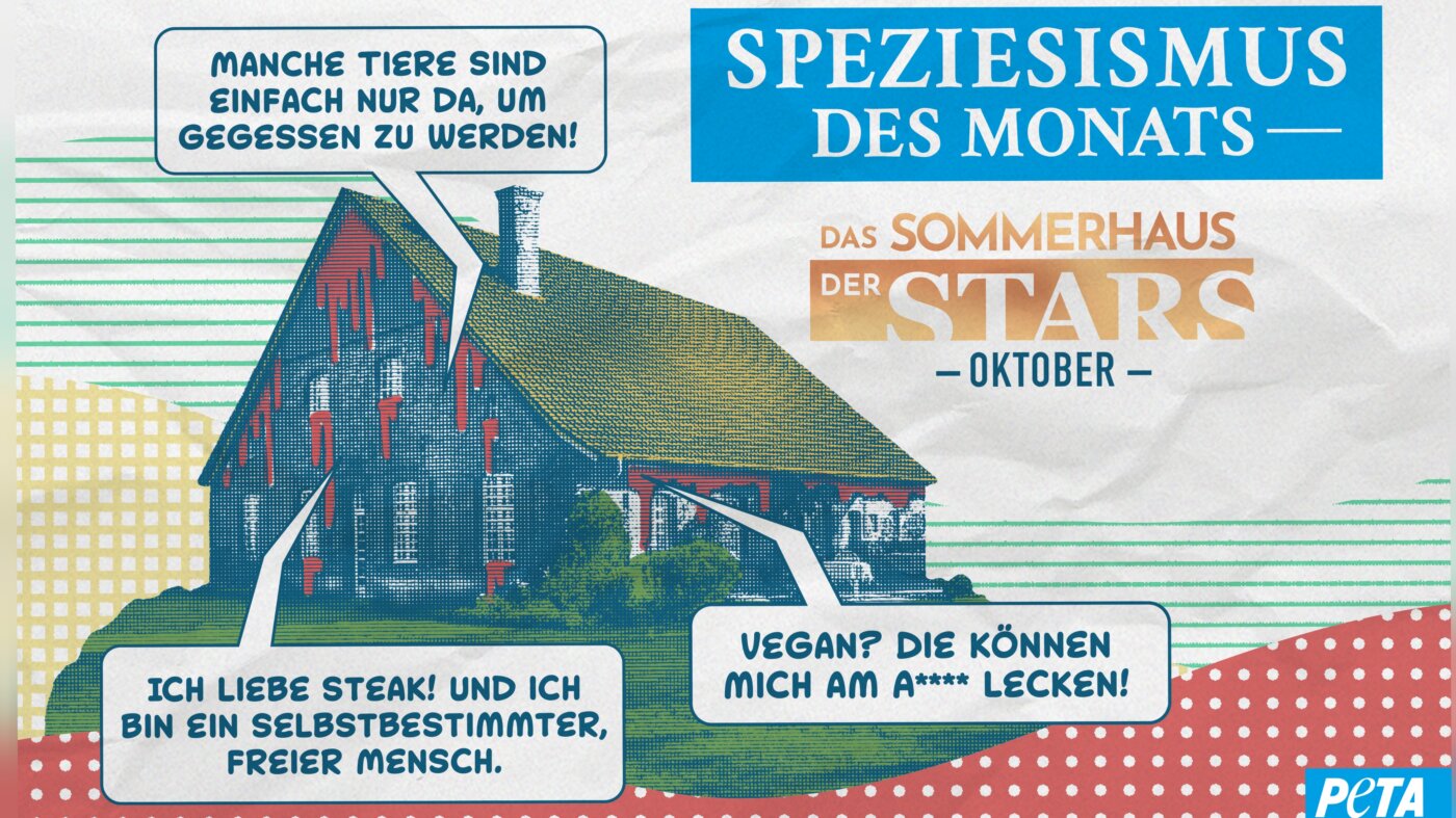 PETA Sommerhaus2