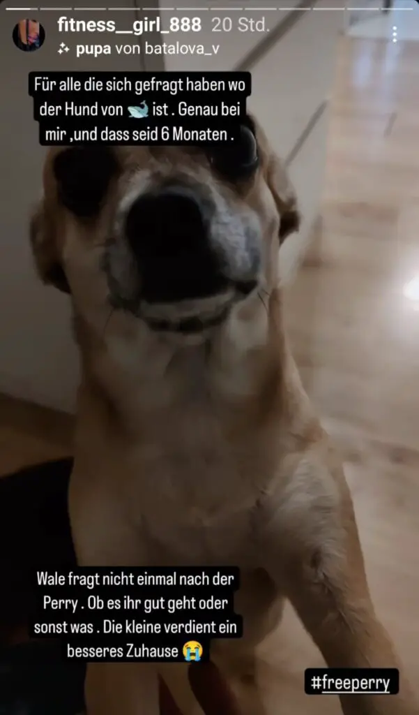 WalentinaPerry