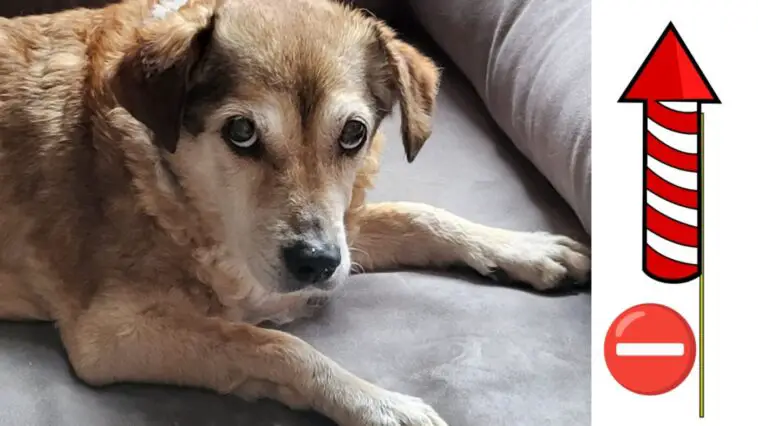 SilvesterBoellerTitelNeu