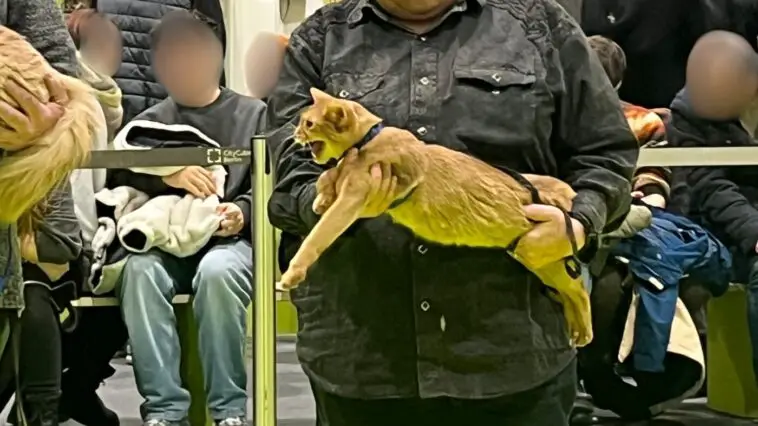 TierschutzbundGruene Woche1 pixel