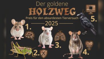 goldener holzweg 2025 Alle