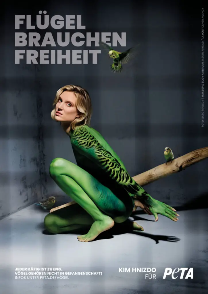 251001 Kim Hnizdo Fluegel brauchen Freiheit A4