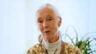 janegoodall
