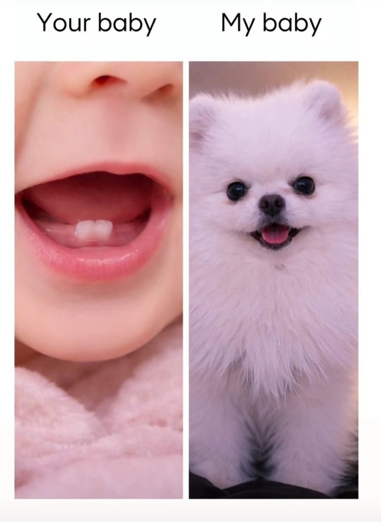 Screenshot 20260329 071201 Instagram